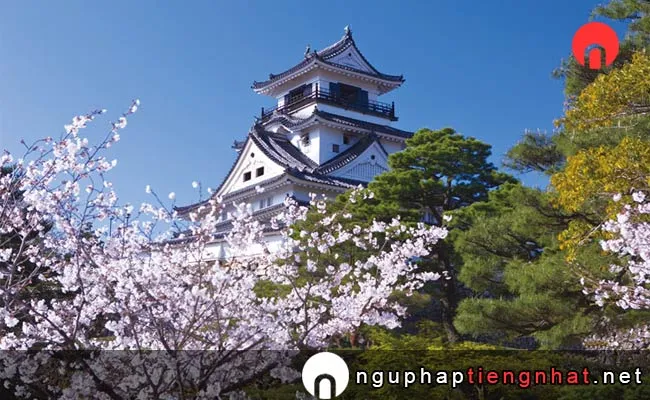 Những địa điểm ngắm hoa anh đào ở kochi - 高知公園