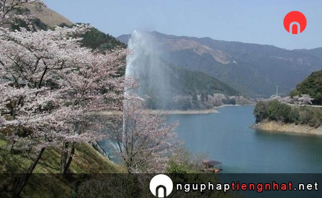 Những địa điểm ngắm hoa anh đào ở kumamoto - 市房ダム湖周辺