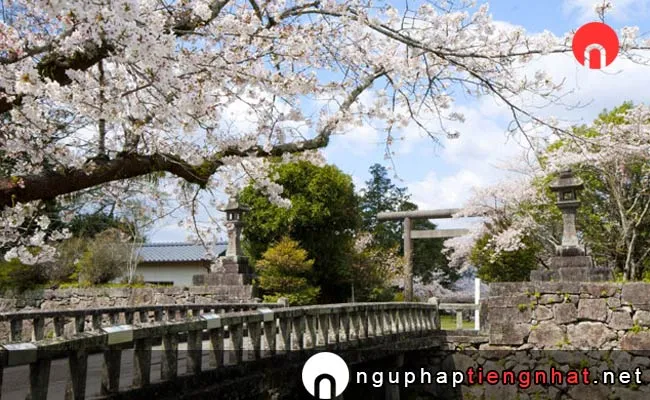 Những địa điểm ngắm hoa anh đào ở kumamoto - 人吉城跡