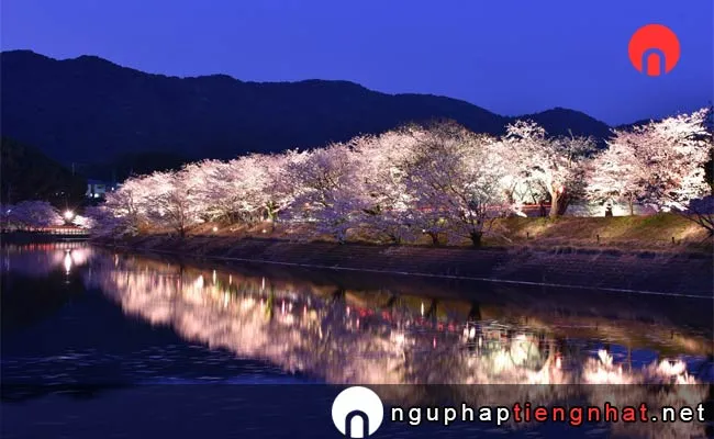 Những địa điểm ngắm hoa anh đào ở kumamoto - 立岡自然公園