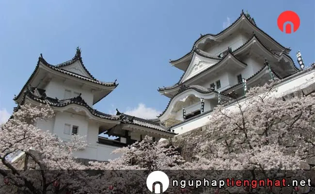 Những địa điểm ngắm hoa anh đào ở mie - 上野公園