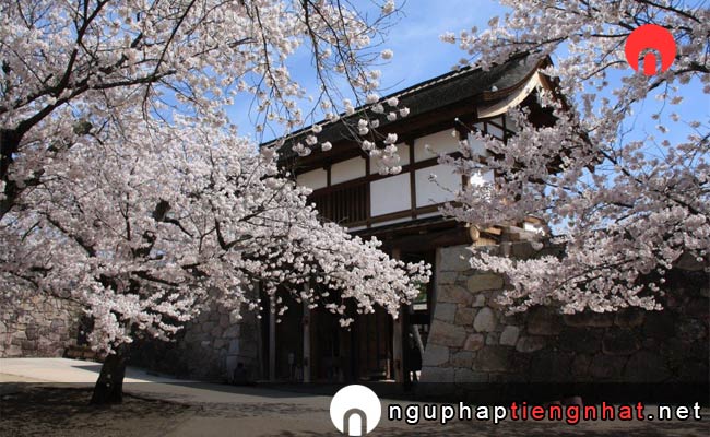Những địa điểm ngắm hoa anh đào ở nagano - 松代城跡