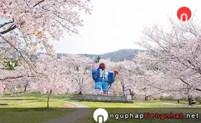 Những địa điểm ngắm hoa anh đào ở nagano - 日本国花苑