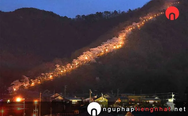 Những địa điểm ngắm hoa anh đào ở nagano - 光城山