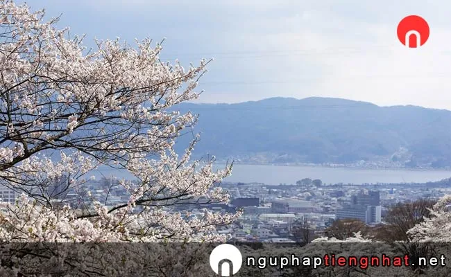 Những địa điểm ngắm hoa anh đào ở nagano - 水月公園