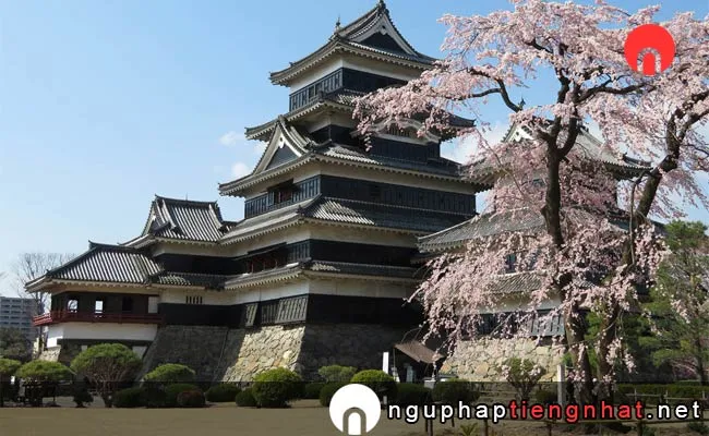 Những địa điểm ngắm hoa anh đào ở nagano - 国宝 松本城