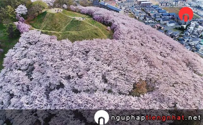 Những địa điểm ngắm hoa anh đào ở nagano - 弘法山古墳
