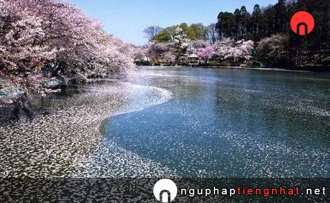 Những địa điểm ngắm hoa anh đào ở nagano - 臥竜公園