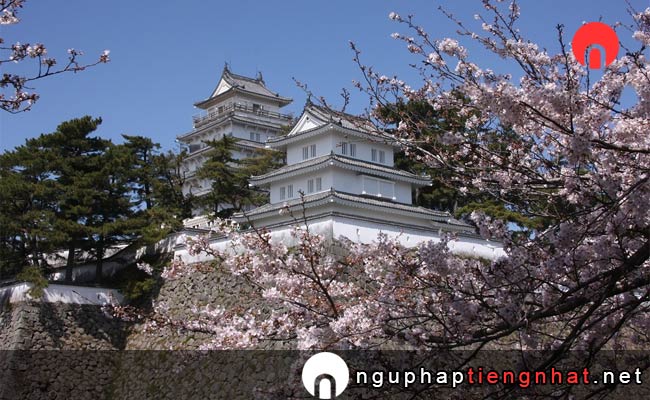 Những địa điểm ngắm hoa anh đào ở nagasaki - 島原城