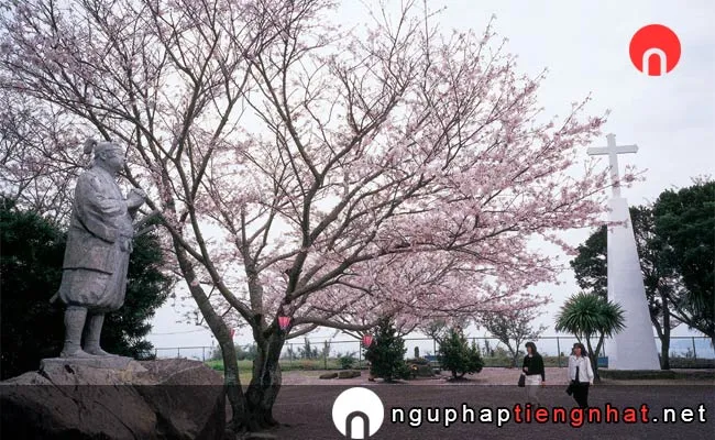 Những địa điểm ngắm hoa anh đào ở nagasaki - 原城跡
