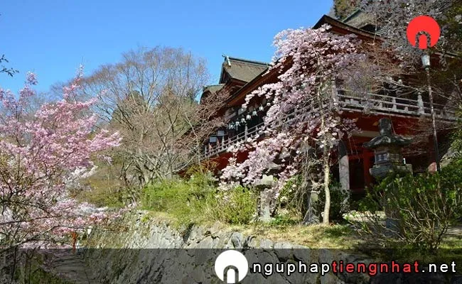 Những địa điểm ngắm hoa anh đào ở nara - 談山神社