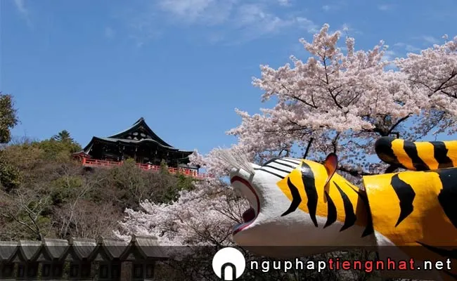Những địa điểm ngắm hoa anh đào ở nara - 桜・菜の花ロード