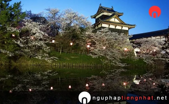 Những địa điểm ngắm hoa anh đào ở nara - 郡山城跡
