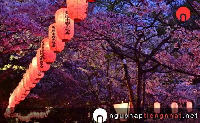Những địa điểm ngắm hoa anh đào ở nara - 八塩いこいの森
