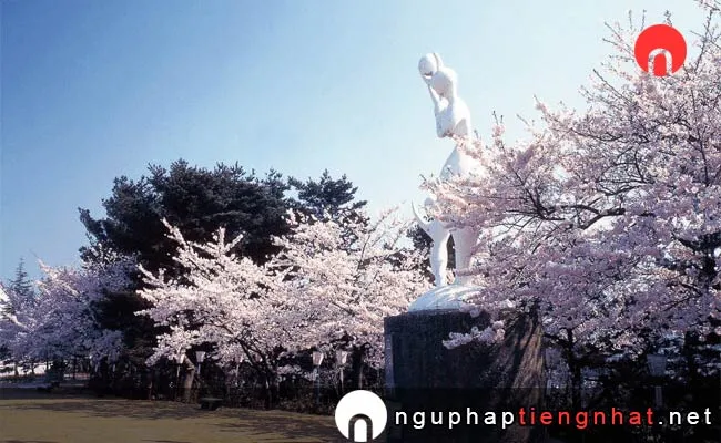 Những địa điểm ngắm hoa anh đào ở niigata - きみまち阪県立自然公園