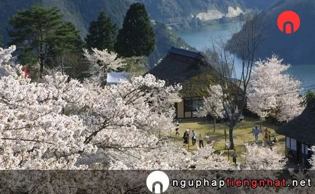 Những địa điểm ngắm hoa anh đào ở okayama - 三休公園