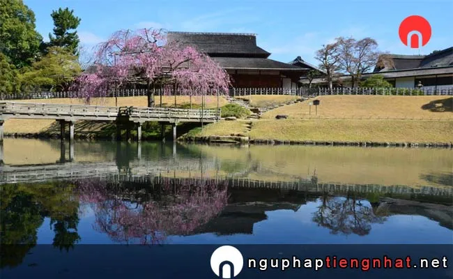 Những địa điểm ngắm hoa anh đào ở okayama - 岡山後楽園
