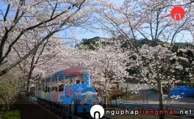 Những địa điểm ngắm hoa anh đào ở ooita - ハーモニーランド