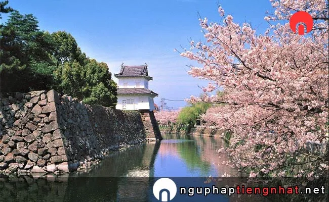 Những địa điểm ngắm hoa anh đào ở ooita - 大分城址公園