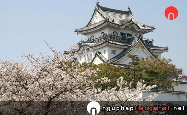 Những địa điểm ngắm hoa anh đào ở osaka - 岸和田城周辺