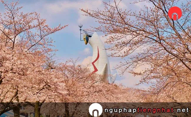 Những địa điểm ngắm hoa anh đào ở osaka - 万博記念公園