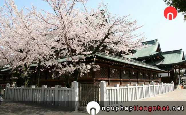 Những địa điểm ngắm hoa anh đào ở osaka - 大阪天満宮