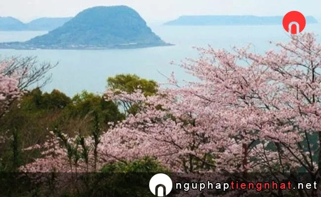 Những địa điểm ngắm hoa anh đào ở saga - 鏡山の桜