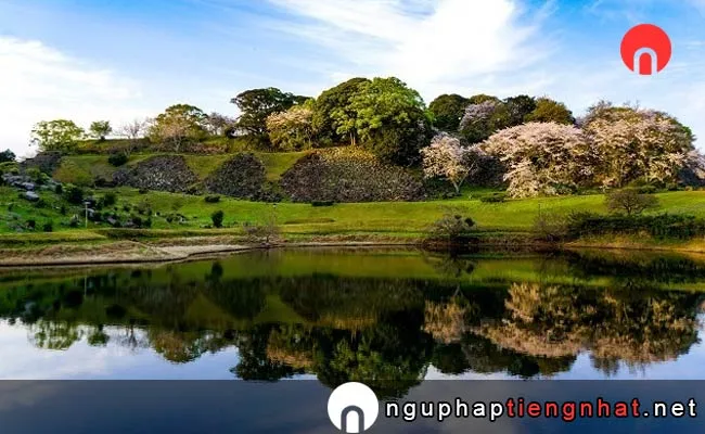 Những địa điểm ngắm hoa anh đào ở saga - 名護屋城跡