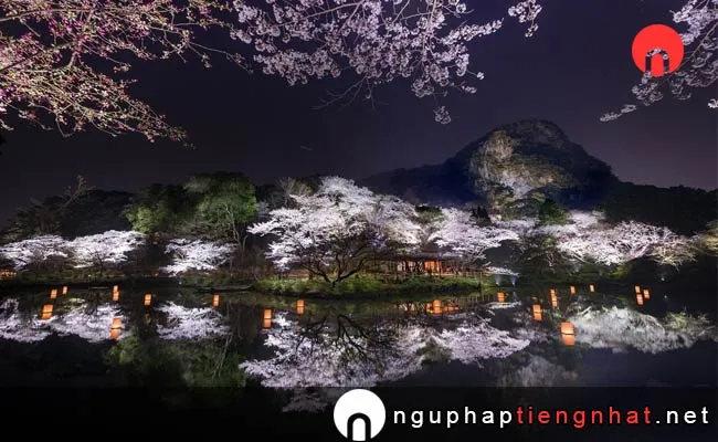 Những địa điểm ngắm hoa anh đào ở saga - 御船山楽園