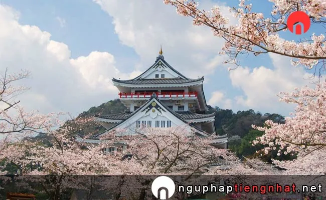 Những địa điểm ngắm hoa anh đào ở shizuoka - 熱海城の桜
