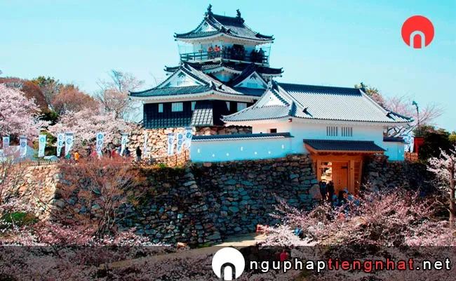 Những địa điểm ngắm hoa anh đào ở shizuoka - 浜松城公園