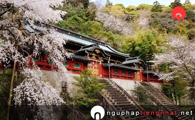 Những địa điểm ngắm hoa anh đào ở shizuoka - 静岡浅間神社