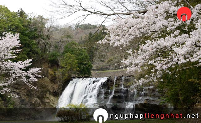 Những địa điểm ngắm hoa anh đào ở tochigi - 龍門の滝
