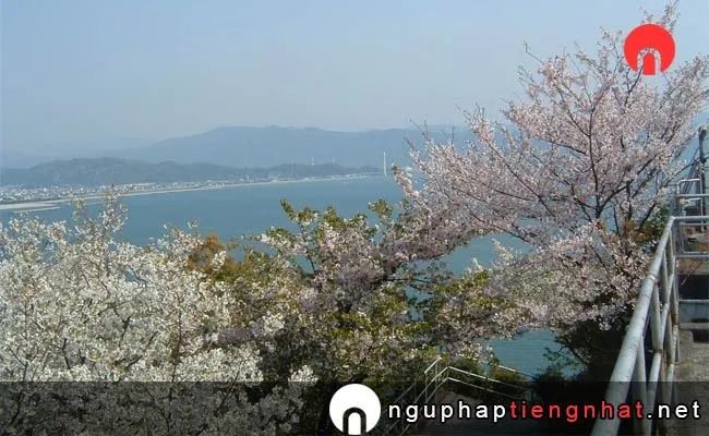 Những địa điểm ngắm hoa anh đào ở wakayama - 和歌の浦(高津子山)の桜