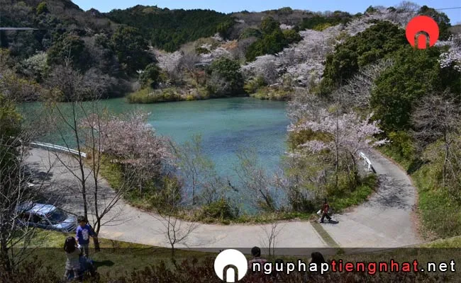 Những địa điểm ngắm hoa anh đào ở wakayama - 動鳴気峡
