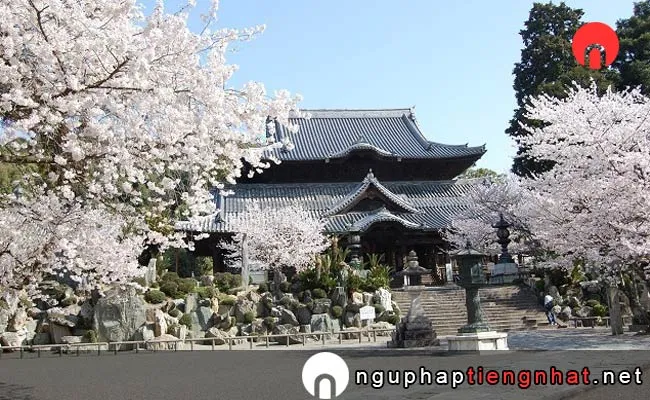 Những địa điểm ngắm hoa anh đào ở wakayama - 粉河寺