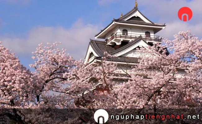 Những địa điểm ngắm hoa anh đào ở yamagata - 上山城･月岡公園