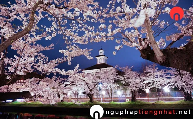 Những địa điểm ngắm hoa anh đào ở yamagata - 鶴岡公園