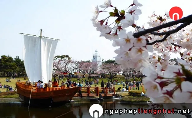 Những địa điểm ngắm hoa anh đào ở yamagata - 日和山公園