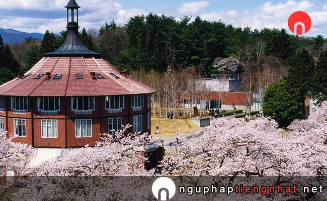 Những địa điểm ngắm hoa anh đào ở yamanashi - 清春芸術村