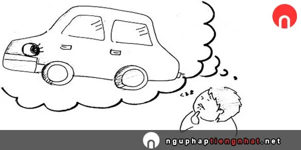 Cách sử dụng ～がほしい