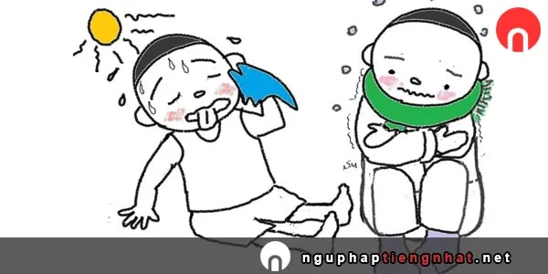 Cách sử dụng tính từ trong tiếng nhật