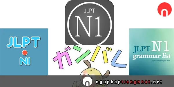 Cấp độ N1