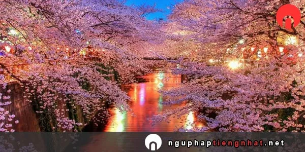 Mẫu câu ～のに