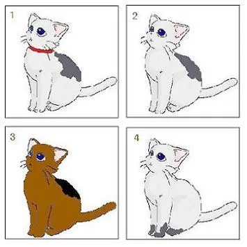 Luyện nghe con mèo