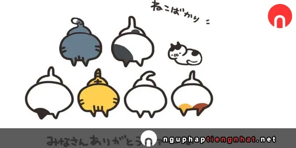 Ngữ pháp ～ばかり