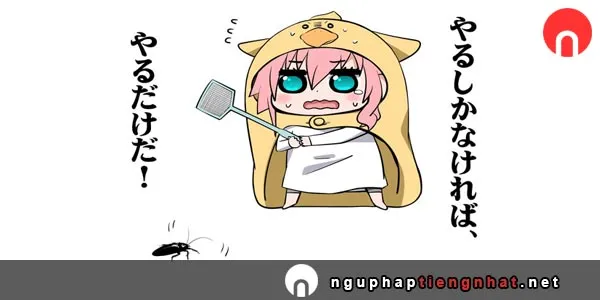 Cách sử dụng ～だけ、しか trong tiếng Nhật