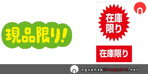 Ngữ pháp ～限り