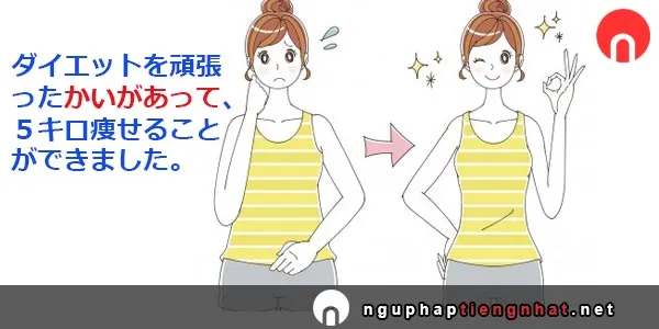 Ngữ pháp ～かいがあって
