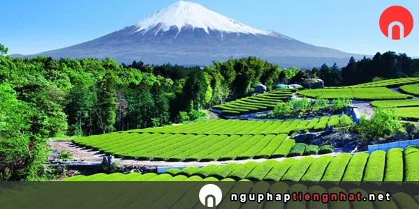 Ngữ pháp ～かけだ、～かける、～かけの